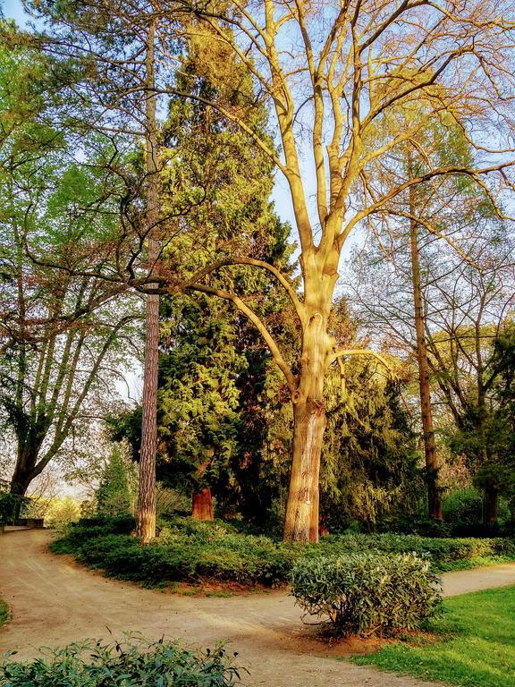 Hotel Eden Am Kurpark Bonn Exteriér fotografie